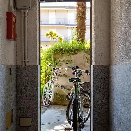 Lake And Bike